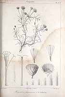  no thumbnail available