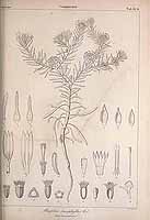  no thumbnail available