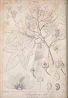  no thumbnail available