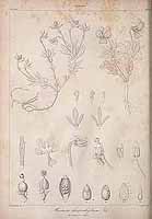  no thumbnail available