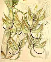  no thumbnail available