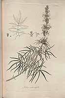  no thumbnail available