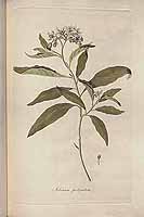  no thumbnail available