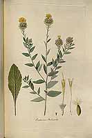  no thumbnail available