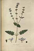  no thumbnail available