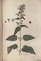  no thumbnail available