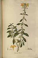  no thumbnail available