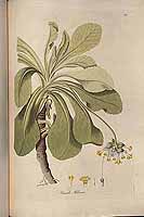  no thumbnail available