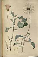  no thumbnail available