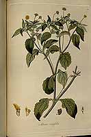  no thumbnail available