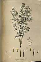  no thumbnail available