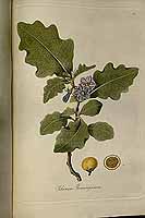  no thumbnail available