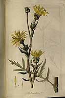  no thumbnail available