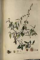  no thumbnail available