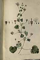  no thumbnail available