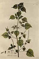  no thumbnail available