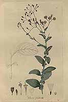  no thumbnail available