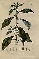  no thumbnail available