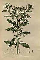  no thumbnail available