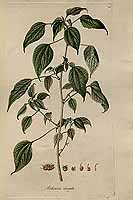  no thumbnail available