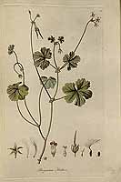  no thumbnail available