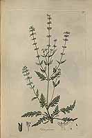  no thumbnail available