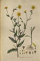  no thumbnail available