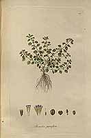  no thumbnail available