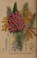  no thumbnail available