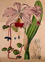  no thumbnail available