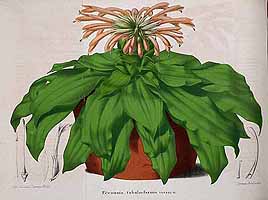  no thumbnail available