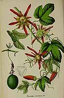  no thumbnail available