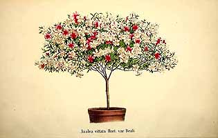  no thumbnail available