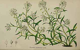  no thumbnail available