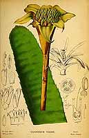  no thumbnail available