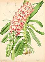  no thumbnail available