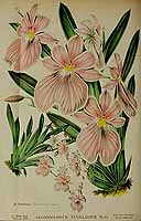  no thumbnail available