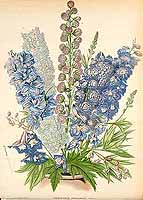  no thumbnail available