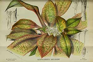  no thumbnail available