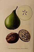  no thumbnail available