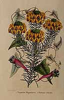  no thumbnail available