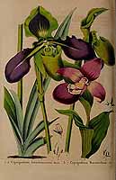  no thumbnail available