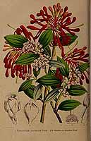  no thumbnail available