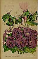  no thumbnail available