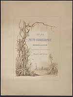  no thumbnail available