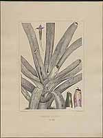  no thumbnail available