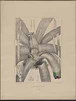  no thumbnail available