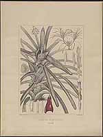  no thumbnail available