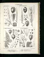  no thumbnail available