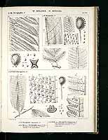  no thumbnail available